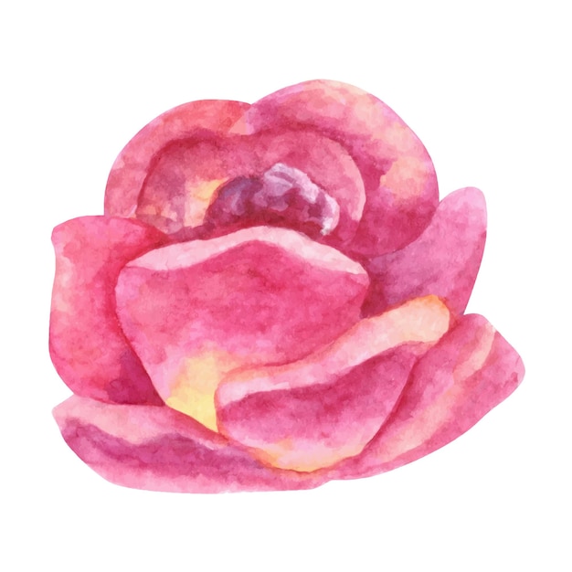 ベクトル 赤面ピンクのバラのクリップアート手描きの水彩イラスト
