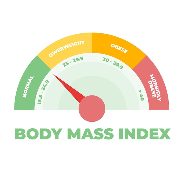 BMI or Body Mass Index meter Vector illustration