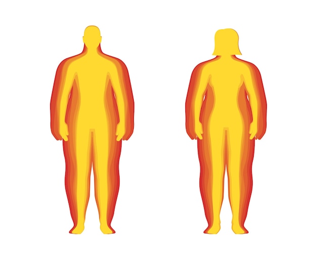 Vector bmi classificatie meting infographic set concept man en vrouw body mass index niveau