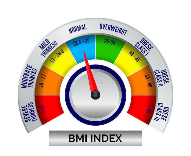 bmi 지수 척도 분류 또는 체질량 지수 차트 정보 개념