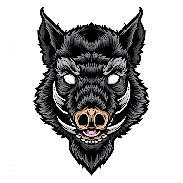 Vector boar head