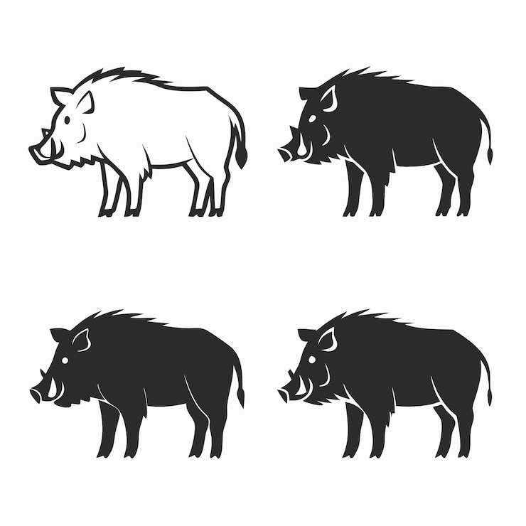 Vector ボアのイラスト