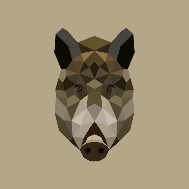 Vector the boar polygon illustration