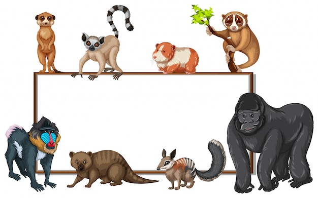 Vector board template with wild animals