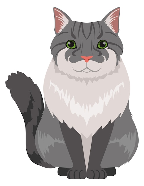 Vector bobtail cat gray fur animal fluffy pet