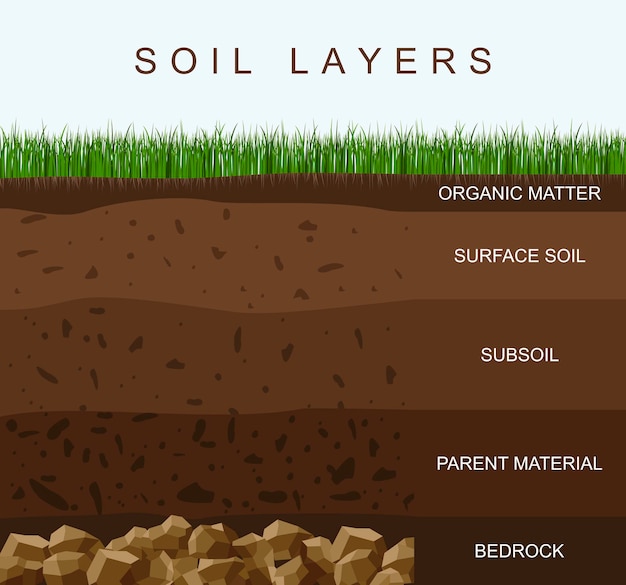 Vector bodemlagen diagram aarde textuur, stenen. grond met groen gras erop. geologie infographics.