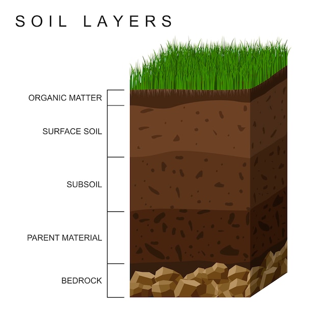 Bodemlagen diagram aarde textuur, stenen. Grond met groen gras erop. Geologie infographics.