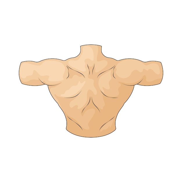 body Back