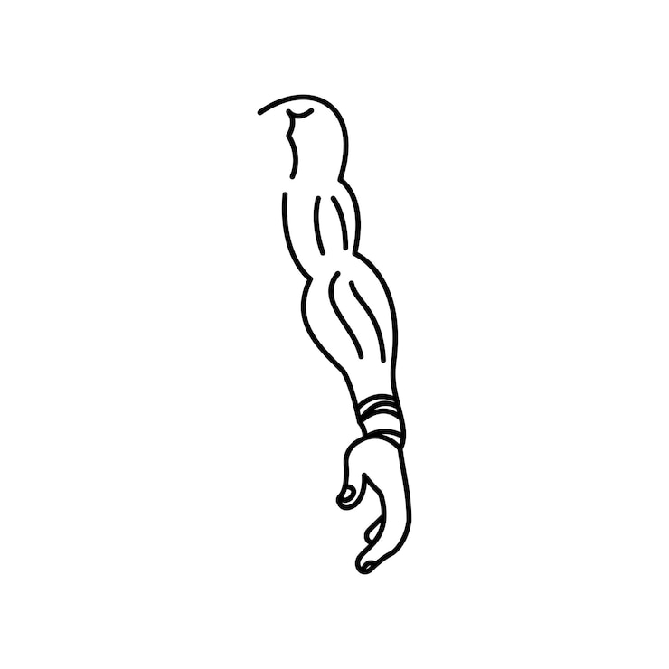 Vector body building vector icon black outline eps 10 logo single muscle gym concept strength success symbol sport strong muscular flat illustration for web app dev infographic isolated on white