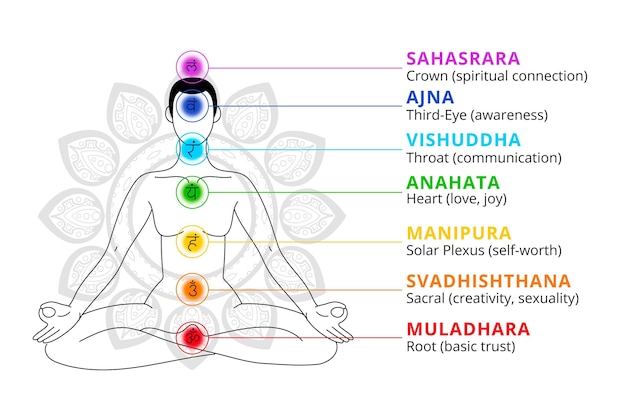 Body chakras concept