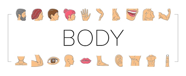 Vector body and facial people parts icons set vector
