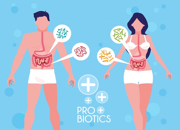 Body of man and woman with probiotics organisms