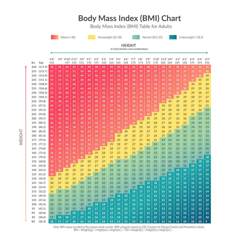 Vector 身體質量指數 (bmi) 的圖表