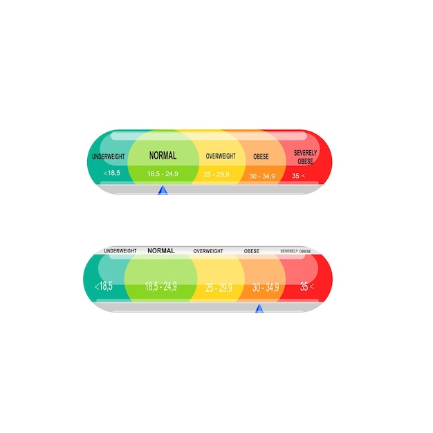 Vector body mass index. classification of bmi. vector illustration.