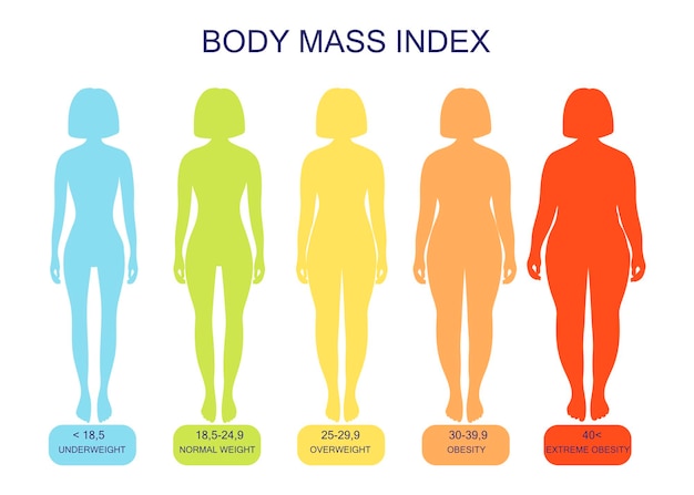 body mass index from underweight to extremely obese silhouettes of women