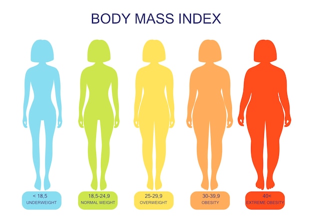 低体重から極度の肥満までのボディマス指数女性のシルエット