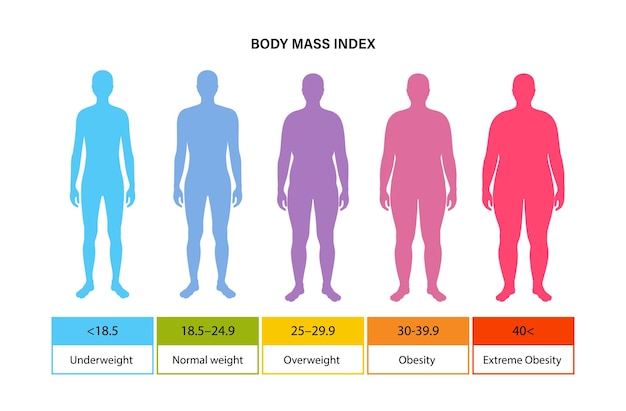Vector body mass index man