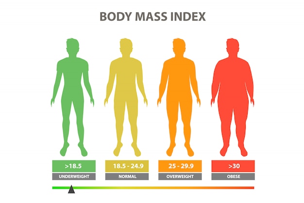 Vettore illustrazione vettoriale di indice di massa corporea
