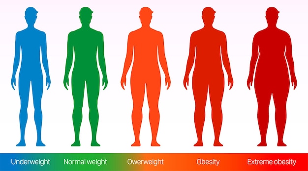 Vector body mass index vector poster volwassen mannen met verschillende lichaamsgewicht maten