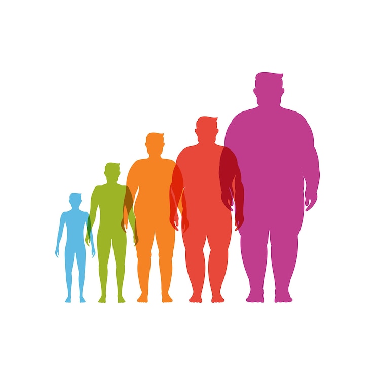 Vector body mass index vectorillustratie