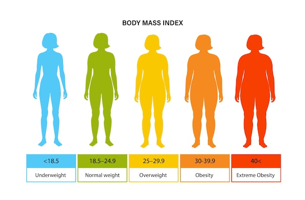 Vector body mass index vrouw