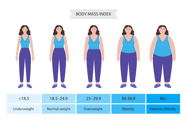 Vector body mass index woman