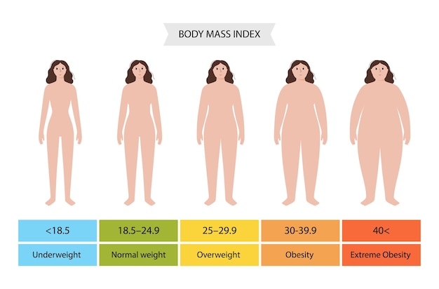 Body mass index woman