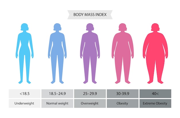 Vector body mass index woman