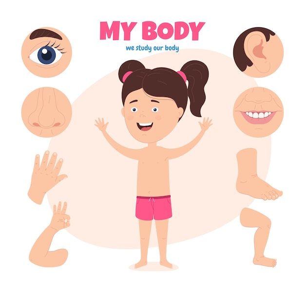 어린이의 신체 부분 소녀의 신체의 다른 외부 부분을 사용하여 자신의 신체를 연구하는 계획