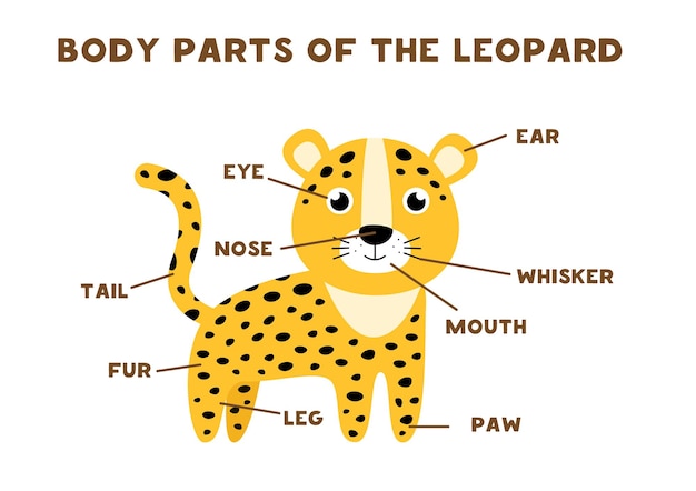 Parti del corpo del simpatico leopardo. anatomia degli animali in inglese per bambini. imparare le parole.