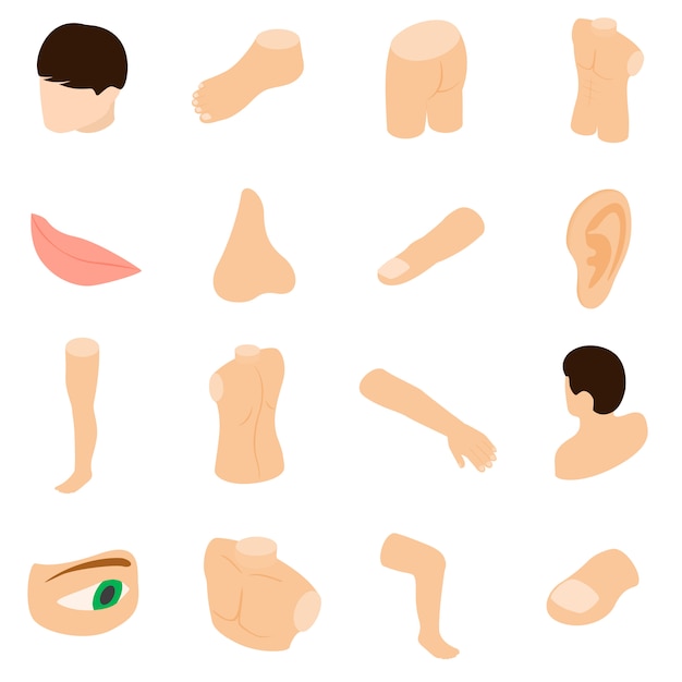 Vector body parts icons set