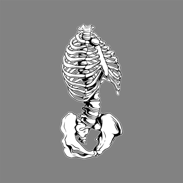 Body skeleton hand drawn illustration