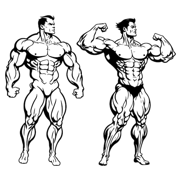 Bodybuilder silhouet vector Bodybuilder zwarte omtrek vectorillustratie