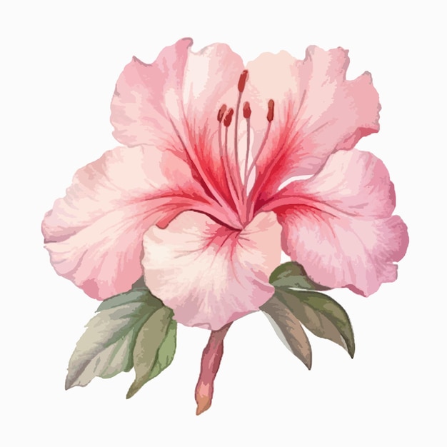 Vector boeiende aquarelillustratie met de gratie van een azalea