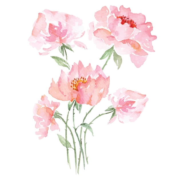 Boeket Bloem roos en klaproos bloem met aquarel voor uitnodigingskaarten geschenken feliciteren