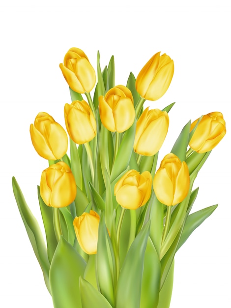 Vector boeket gele tulpen.