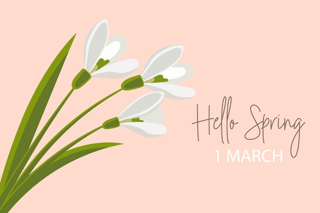Boeket sneeuwklokjes met tekst Hallo lente, 1 maart. Felicitatiebanner, ansichtkaart, poster