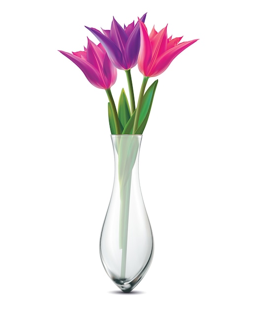 Vector boeket tulpen in een glazen vaas op een wit. realistisch.