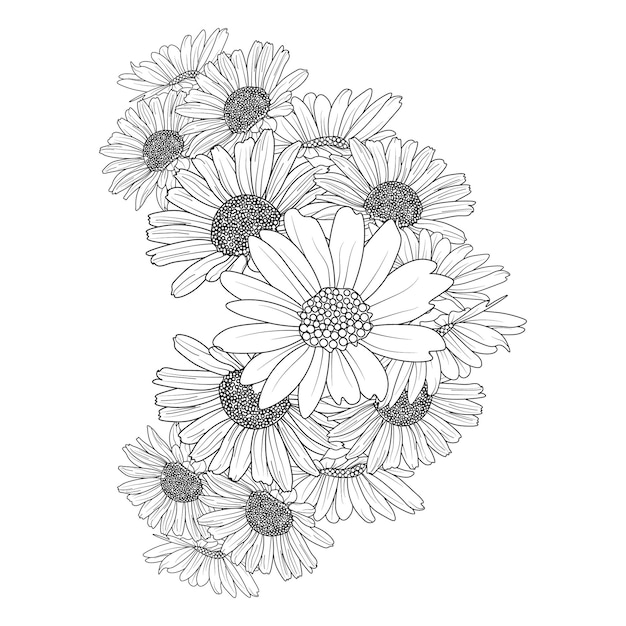 Boeket van daisy bloem vector schets illustratie gegraveerde inkt kunst kleurplaat en boek voor volwassenen