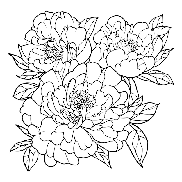 Boeket van pioen bloem illustratie lijnwerk pioen tattoo ontwerp peony zen doodle vector clipart