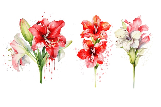 Boeket van roze tulpen aquarel roos creatieve kleurrijke bloemdessin vector download