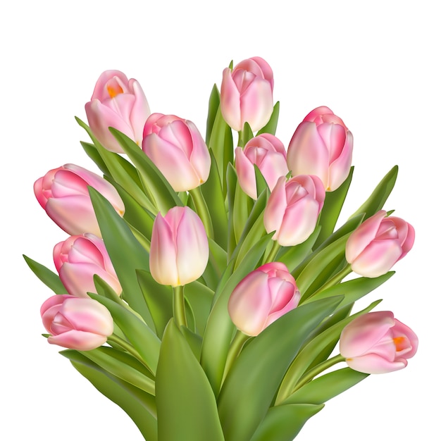 Vector boeket van roze tulpen.