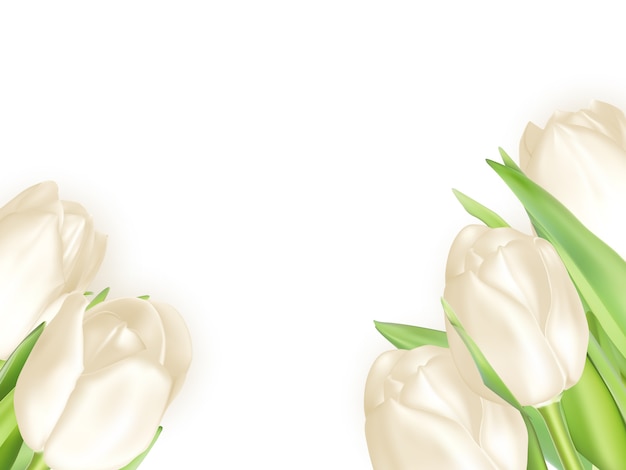 Vector boeket van witte tulpen.
