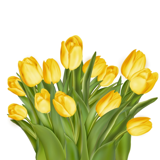 Boeket van witte tulpen.