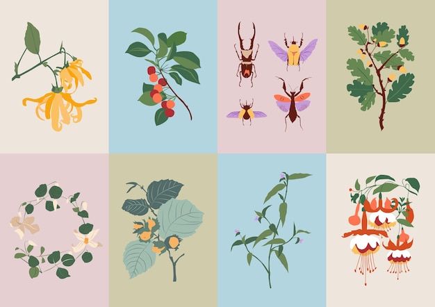 Boheemse verzameling wilde bloemen en botanische illustraties