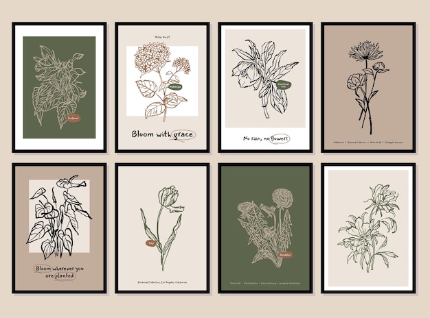 Vector bohemian collection of botanical illustrations for wall art gallery