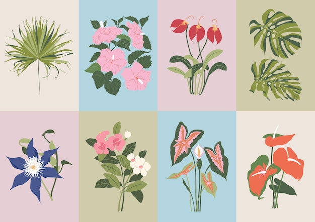 Vettore collezione bohémien di fiori selvatici e illustrazioni botaniche