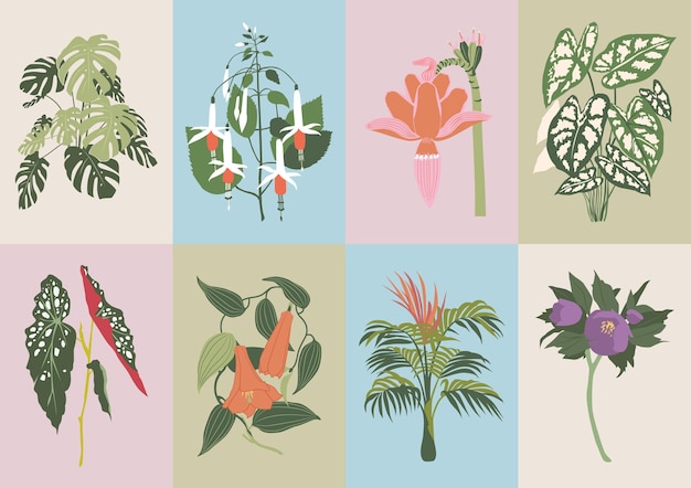 Vettore collezione bohémien di fiori selvatici e illustrazioni botaniche