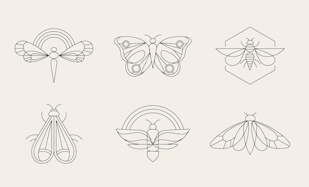 Bohemian linear logos icons and symbols insect butterfly dragonfly and moth design templates geometric abstract design elements for decoration