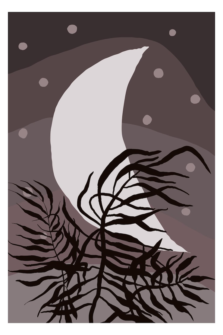 Vector boho abstract minimalistic poster with leaves and branches sunrise and sunset plant leaf
